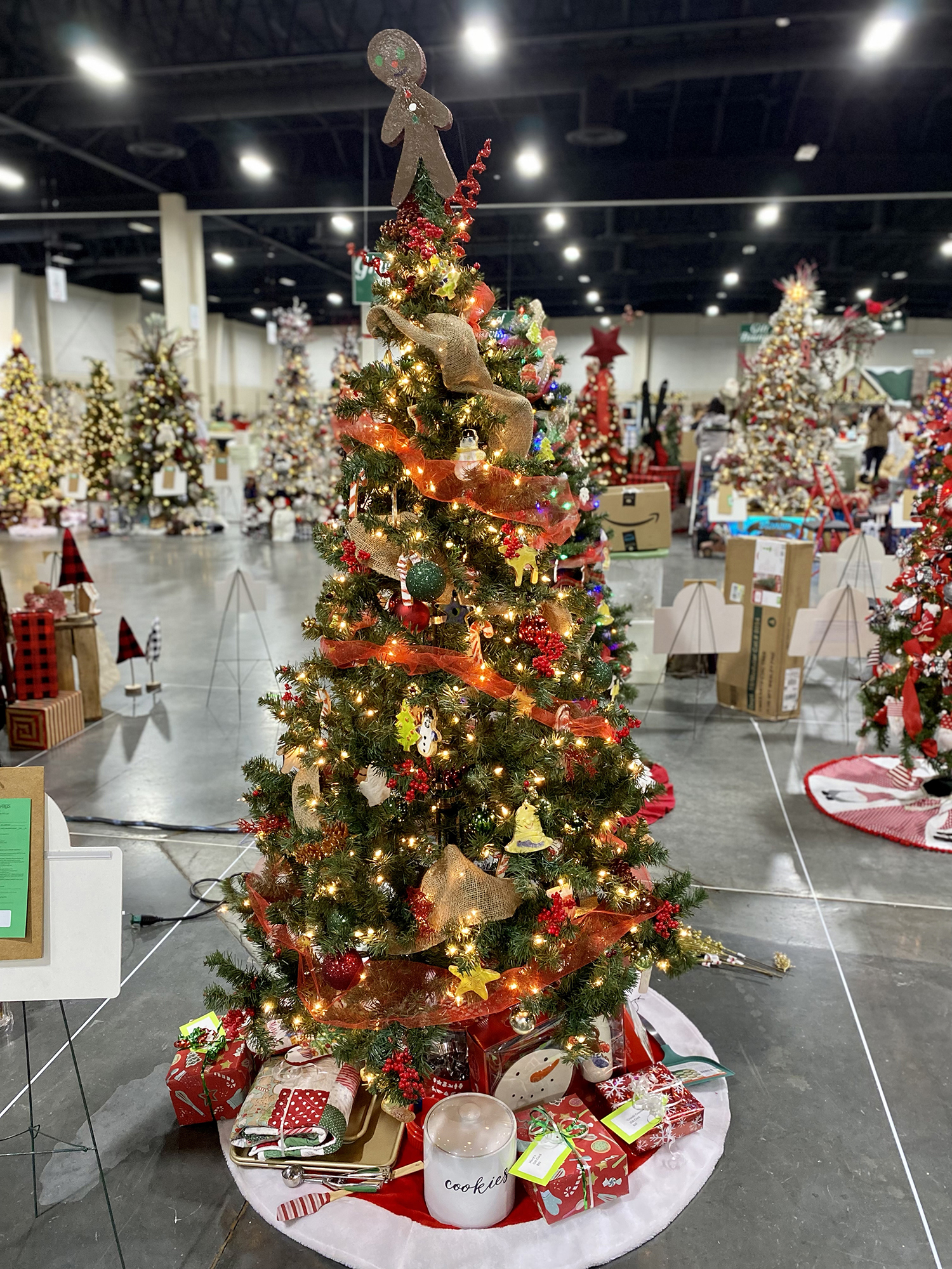 Large view of 3rd Grade Tree